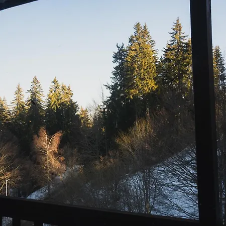 Lejlighed Sunny In *