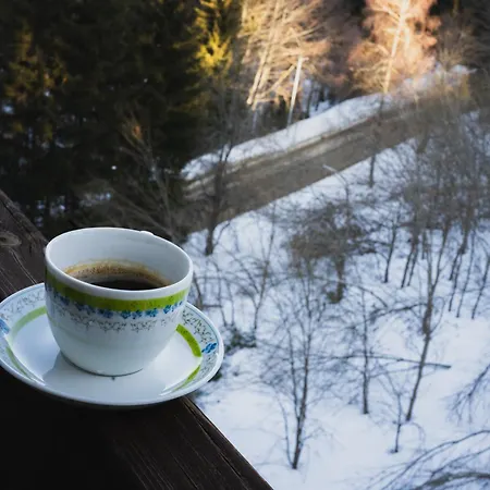 Apartament Sunny In *