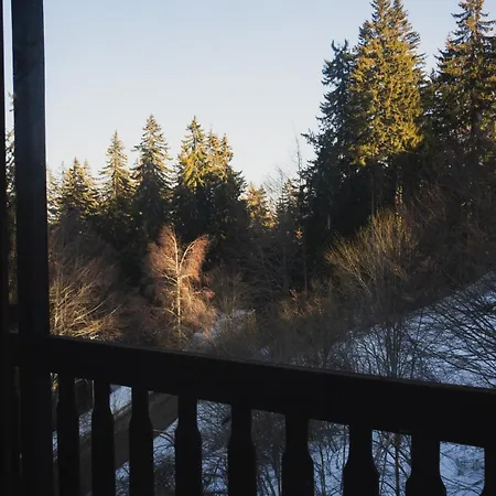 Lejlighed Sunny In *