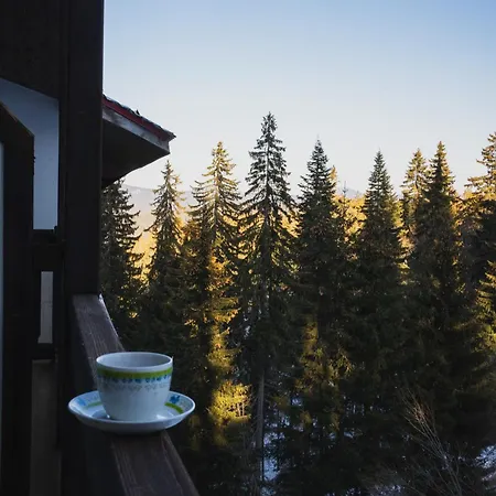 Sunny In * Pamporovo