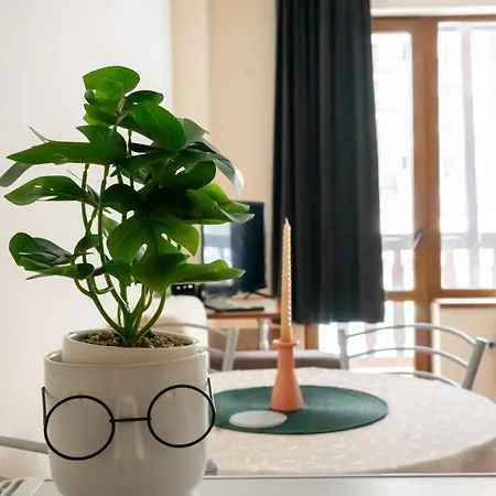 Apartament Sunny In Pamporovo