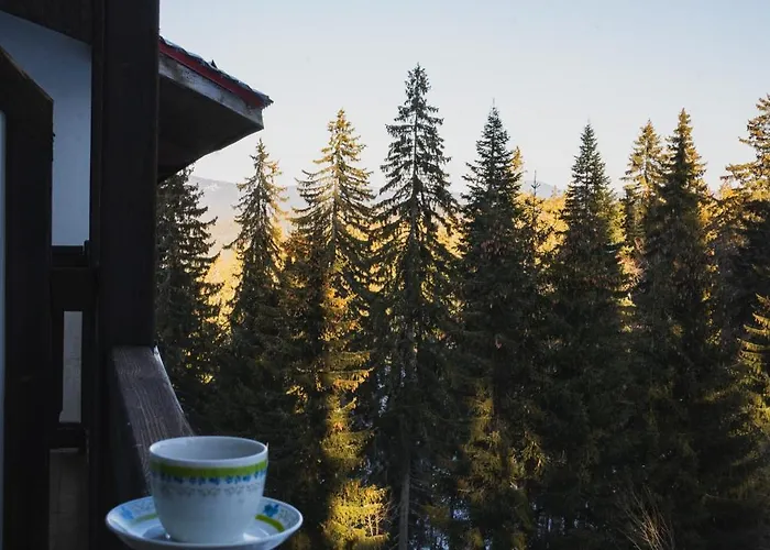 Sunny In * Pamporovo